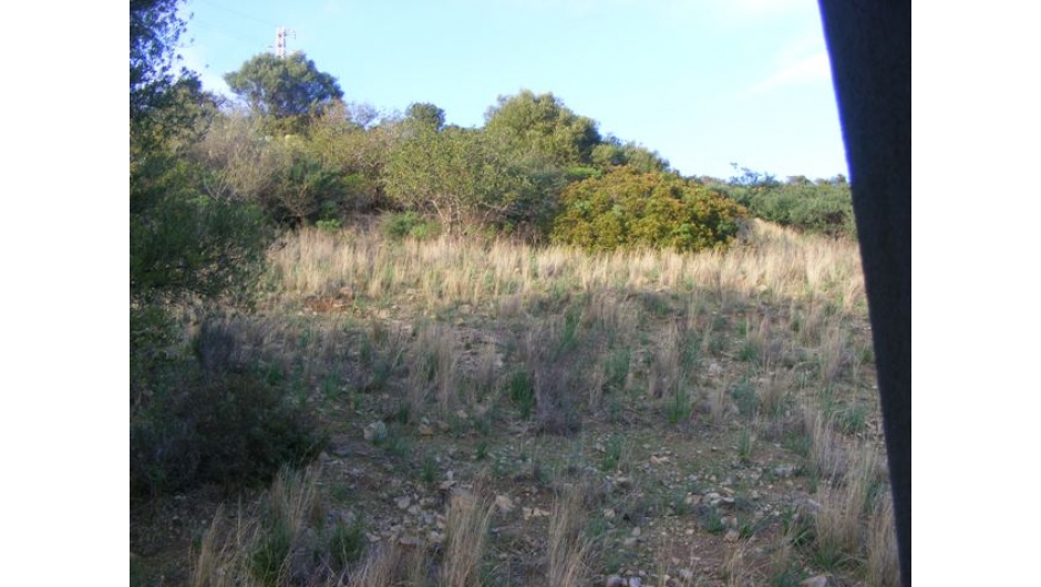 vista villa al grezzo1