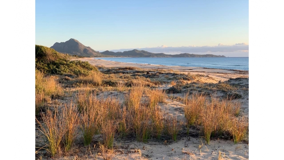 83977932_176936043715141_6045390739427295232_n